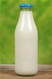 Fresh milk in a bottle