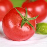 Tomato with basil