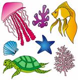 Various marine animals collection 2