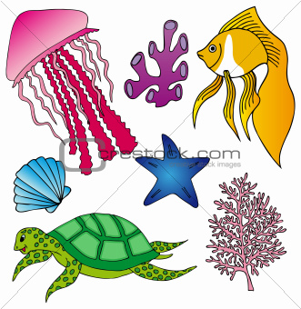 Various marine animals collection 2