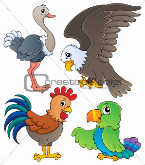 Various birds theme set 1