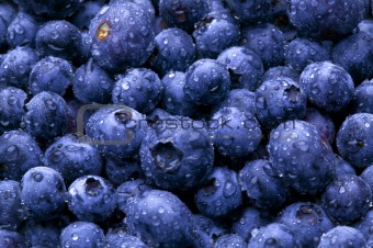 Blueberry Background