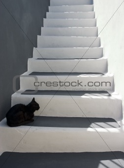 Black cat on the stairs