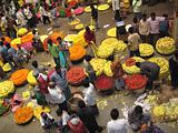 Indian Flower Market