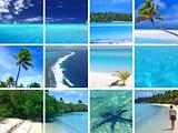 Tropical Montage