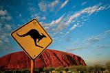 Kangaroo rock