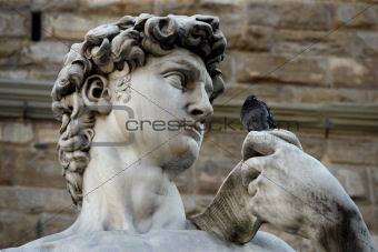 David talking to a pigeon