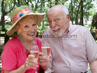 Happy Seniors Toasting