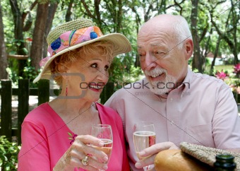 Picnic Seniors - Champagne Toast