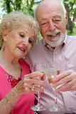 Senior Couple Happy Together