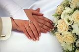 Bride and Groom Showing wedding rings
