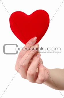 Red heart in female hands on a white background