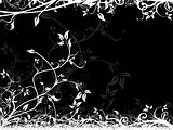 Black background with floral frame