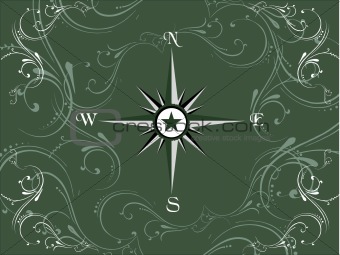 Compass panel on dark green floral frame