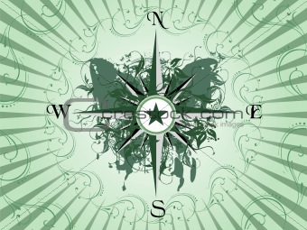 Compass panel on green grunge butterfly background