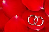 Wedding rings in red rose petals