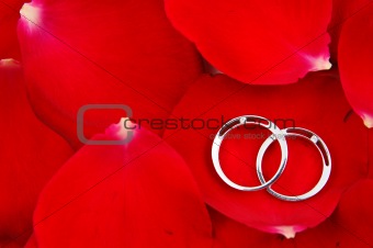 Wedding rings in red rose petals