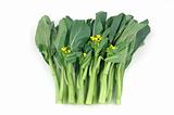 Chinese vegetable: Choy sum