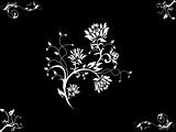 Vector illustration of floral with black background