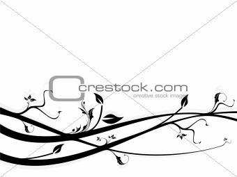 Vector illustration of white floral background