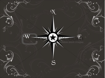 Compass panel on floral background, illustration