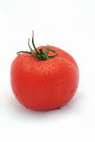 Red Tomato on White Vertical