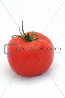 Red Tomato on White Vertical