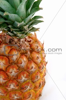 Pineapple on White 3