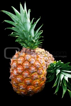 Pineapple Pair on Black
