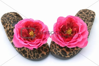 Glamorous Slippers Two