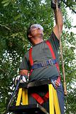 Tree Trimmer Safety Harness