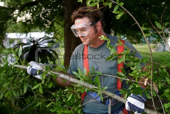 Worker Hauling Branches 1