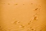 Footprint on Arabian Sand Dunes
