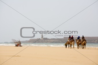 People on the camel at the beach