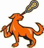Dog With Lacrosse Stick Side View
