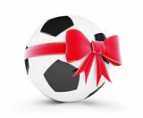 soccer ball gift