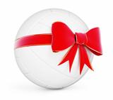 gift volleyball ball