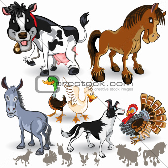 Farm Animals Collection Set 02