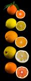 Citric Fruits Sliced