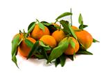 Mandarins with Leafes