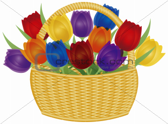 Easter Basket with Colorful Tulips Illustration