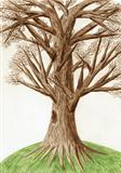 Artistic color pencil drawing "The Tree" 