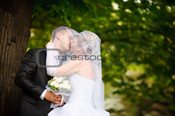 kiss of bride and groom