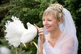 bride and white pigeon
