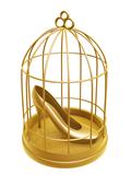 golden birdcage and shoe