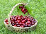 cherry basket