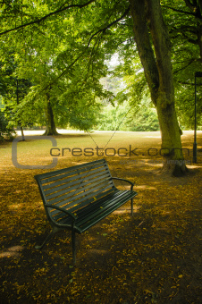 Empty bench in a park