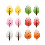 colorful  tree isolated