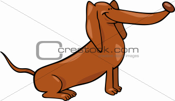 cute dachshund dog cartoon illustration