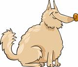 spitz dog cartoon illustration